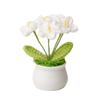 Girassol Acabado Planta em vaso Tecido à mão Buquê de flores Terminado Flor Eterna Dia dos Professores Dia das Crianças Presente Mercado Noturno Stall