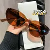Gafas de Sol Retro Ojo de Gato para Mujer, Marco Pequeño Personalizado, Populares para Tomar Fotos, Lentes de Moda Estilo Coreano, Gafas de Sol para Hombre, Gafas para Fiesta, Envío Gratis