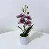 Nuevo Modelo de Cuatro Orquídeas Phalaenopsis Artificiales en una Maceta Realista de Plástico Impresa en 3D para Fotografía y Decoración
