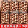 Castanhas de Macadâmia Manteigadas 500g, Lanches de Nozes, Nozes Torradas, Frutas Secas, Nozes, Produtos a Granel para o Ano Novo, Inclui Pote de 1g