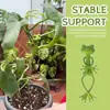 Soporte para Plantas Rana Bonsái Maceta de Interior Rana Rama Decorativa Soporte para Plantas Jardinería de Mascotas Decoración de Paisaje