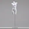 Expositor de modelos de lingerie manequim meio-corpo masculino e feminino loja de lingerie sutiã sutiã manequim corpo inteiro calcinha modelo de quadril adereços