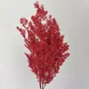 Venta al por mayor de Flores de Pino Inmortalizadas para Flores Secas Transfronterizas, Productos Florales DIY, Ramos, Decoración del Hogar, Arreglos Florales con Flores Reales, Yunnan