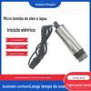 Bomba submersível especial para triciclo elétrico, bomba de óleo, mini bomba de combustível elétrica, mini artefato para regar vegetais, bomba de óleo