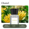 Perfume para Coche Aromaterapia Spray Automático Desodorante Botella de Vidrio Luz Ambiental Decorativa Gran Capacidad 120ml
