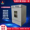 Incubadora oscilante pequeña control inteligente de temperatura incubadora oscilante fabricante recomienda calidad superior