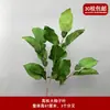 Pico de bambu de galho alto céu estrelado dente-de-leão verde escuro verde claro estilo floresta celebração de casamento decoração marcador de corredor arranjo de flores teto alto material de folha