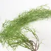 Simulación de plantas verdes, belleza imprescindible para colgar en la pared, hierba de aire, ideal para personas mayores, decoración de casas de familia, fondo de hojas de ratán, decoración de pared