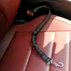 Amazon Pet Products Hebilla de Cinturón de Seguridad para Coche con Correa Elástica Reflectante Retráctil para Perro
