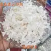 Nueva Pegamento de Crema para Transmisión en Vivo Resina DIY Brillo Mate Lazo Funda de Teléfono de Resina Pasador Goma para el Cabello Pendiente Accesorios