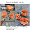 Fabricante de Flores Artificiais Laranja Pôr do Sol, Laranja Vermelho Pôr do Sol Arco para Corredor de Casamento com Tema de Outono Decoração Suave Flores Artificiais Atacado