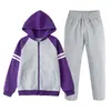 Uniformes de Baseball com Capuz Roxo para Alunos do Ensino Fundamental e Médio Primavera e Outono Uniformes Escolares para Meninos e Meninas Tênis Conjunto de Calça Cinza Claro