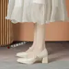 Sapatos femininos de salto alto 2023 novo primavera e outono estilo Hong Kong, adequados para saias e cheongsams, sapatos de salto médio grosso retrô, sapatos femininos Mary Jane franceses