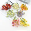 Estilo Bosque Flor Pequeña Margarita de 5 Pétalos Hierba DIY Accesorios Florales para el Hogar Pasador Kit de Material de Flores Accesorios para Paredes de Flores de Fotografía