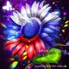 Comercio exterior transfronterizo nuevo pintura de diamante 5D mariposa flor animal pintura decorativa diy pintura de bordado de diamante diamante al por mayor
