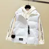 Colete de Algodão Primavera e Outono para Mulheres, Colete Feminino Curto Estilo Coreano Outono e Inverno, Jaqueta sem Mangas, Roupa Exterior Feminina