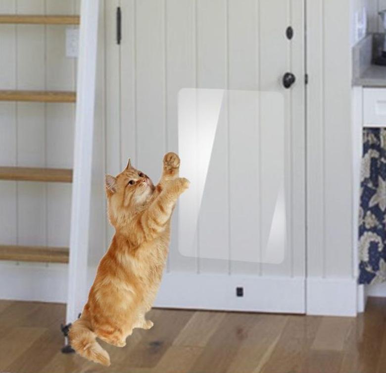 微信图片_20190516113938