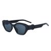 Comercio electrónico transfronterizo explosiones de comercio electrónico populares Gafas de sol con marco de memoria TR gafas de sol para mujer 166 2210