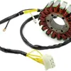4010911 Bobina Magnética de Ignição para SPORTSMAN
