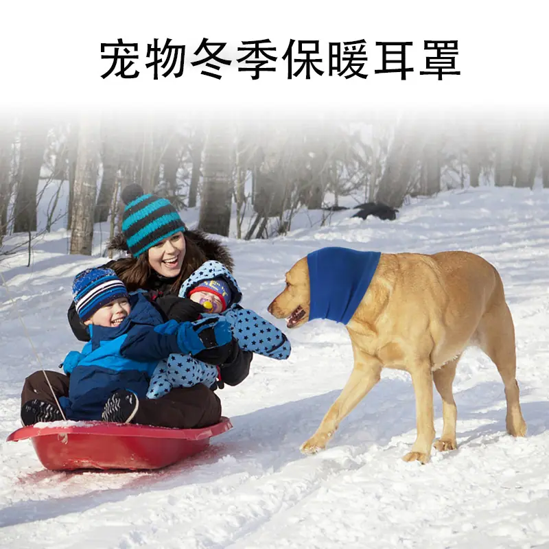 未标题-22