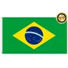 Venda Direta de Fábrica nova bandeira grande de três camadas 90 * 150cm Bandeira do Brasil para exportação em estoque
