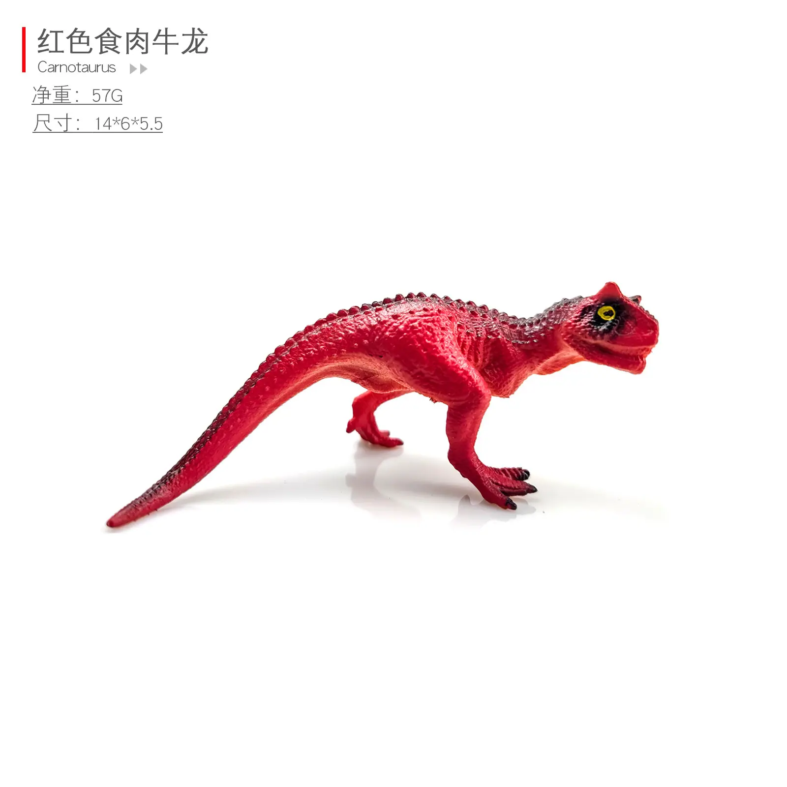 红色食肉牛龙