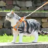 Correa para gato para prevenir escapes, correa especial para gato para salidas, una herramienta mágica para pasear gatitos, arnés y cadena anti-pérdida para mascotas