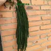 Flores eternas, incluyendo la variedad "Mi Rou Li Si", flores de tallo largo "Lágrimas de Amante" y flores secas, están disponibles para venta al por mayor. Se pueden personalizar para decoraciones de hotel, bodas y estudios fotográficos