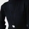 2026 Nueva Moda Coreana Otoño e Invierno Collar Cepillado de Poni para Hombres y Mujeres Simple Elegante Cadena Larga para Suéter con Colgante