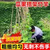 Varas de bambu para treliças de horta, varas de bambu para trepadeiras de vegetais atacado, estacas de suporte para feijões, varas de bambu para cercas, bandeiras coloridas, bambu fino