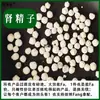 Medicina Herbal China, Semen de Riñón Genuino, Manejo Honesto, Autenticidad Garantizada, Piedras Enteras de Vejigas de Vaca o Cerdo