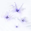 Explosiones 2-5cm Tul de Doble Capa Mariposa Estéreo Accesorios para el Cabello Parche Facial Decoración de Maquillaje Accesorios para Ropa Accesorios de Bricolaje