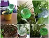Tamaño M Bola Rayada Bulbos de Riego Automático para Plantas Bolas de Autorriego Dispositivo de Agua Sistema de Riego por Goteo para Plantas de Flores de Jardín