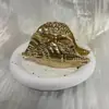 Pinzas para el Cabello Estilo Europeo y Americano para la Parte Trasera de la Cabeza, Pinzas de Tiburón, Pinzas de Estrella de Mar, Pinzas para el Cabello de Caracola Transfronterizas, Accesorios para el Cabello Versátiles de Moda