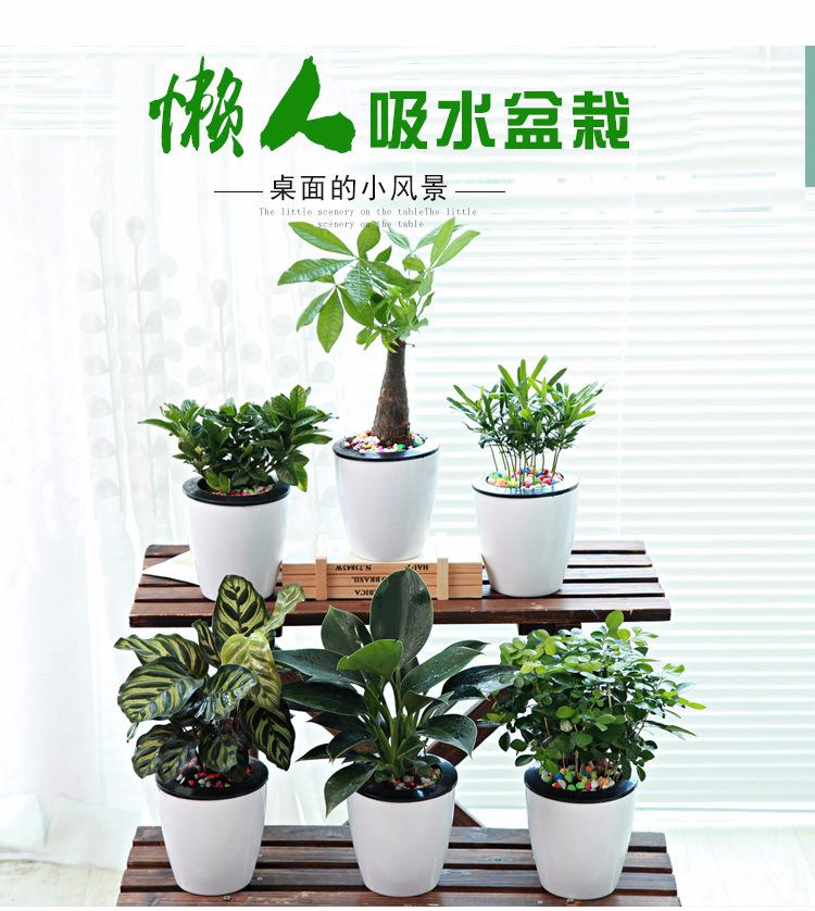 璇︾粏1