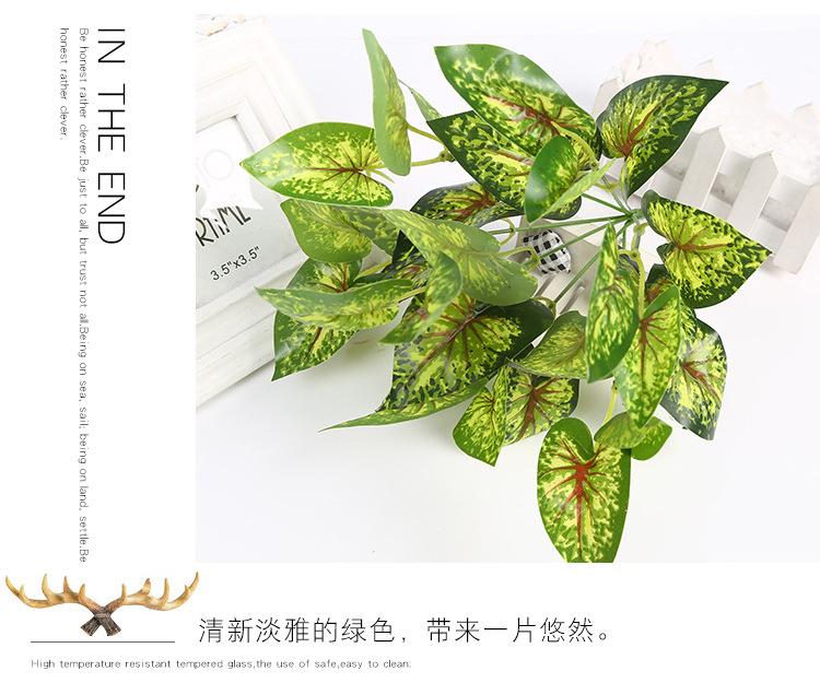 植物墙配草配件_12.jpg