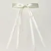 Grampo de cabelo laço de fita poliéster multicolorido 2,5cm Temperamento feminino clipe de bico de pato de fita dupla Acessórios de cabelo doces e fofos