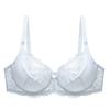 Lujoso Encaje Talla Grande Push-Up Europeo y Americano Sexy Delgado Transpirable Sujetador Estilo Caliente de Aliexpress Wish