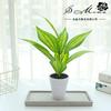 Planta artificial de flores falsas, hojas verdes, simulación de macetas, adornos creativos para interiores, flores de simulación, decoración de interiores, plantas de simulación.