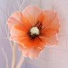 Ventas Directas de Fábrica Productos Transfronterizos Plantas Simuladas Grandes Amapola Flor de Amapola Camino de Boda Exhibición de Ventana Accesorios para Disparos
