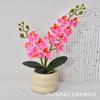 Flor Artificial Phalaenopsis de Dos Ramas Bonsái Flor Artificial Decoración Interior Decoración Hogar Sala de Estar Estudio Simulación Planta en Maceta