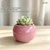 Vaso de Flor Carnuda Cerâmica Jardinagem Cerâmica Mini Novo Criativo Grés Casa Vintage Novo Vaso de Porcelana Vaso