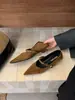Zapatos de Cadena con Punta Fina Estilo Francés para Mujer 2025 Primavera, Otoño e Invierno Tacón Bajo Zapatos de Oficina y de Noche