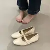 Novidade de Início de Primavera Sapatos de Velcrô Estilo Francês de Bico Baixo para Mulheres, Sapatos Mary Jane Casuais Versáteis de Solado Macio para Aumentar a Altura para Mulheres