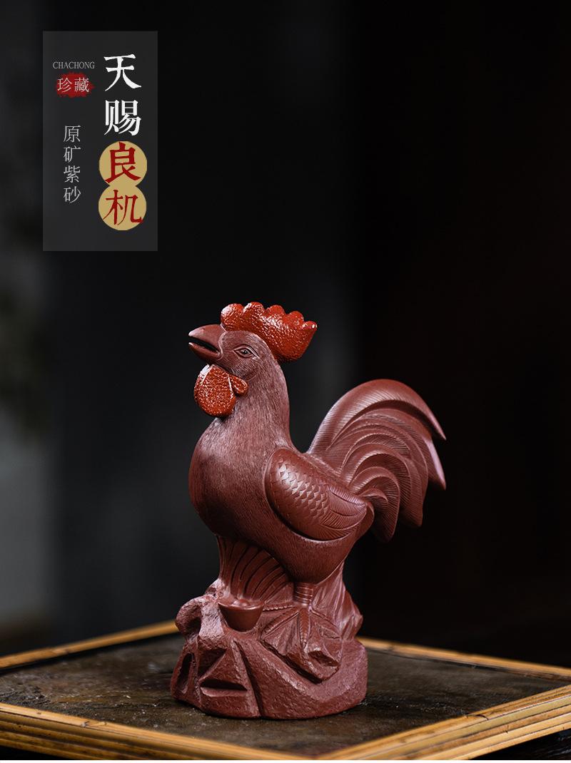 公鸡2020904 (18).jpg