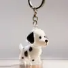 Colgante de Pelo de Mascota Cachorro Lindo Pelo Caja Transparente de Almacenamiento Forma de Gato y Perro Llavero Colgante Creativo
