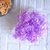 Hortensia Inmortal a Granel Hortensia Anna a Granel Pétalo Flor Seca Flor Inmortal Material Hecho a Mano Decoración Accesorios de Regalo