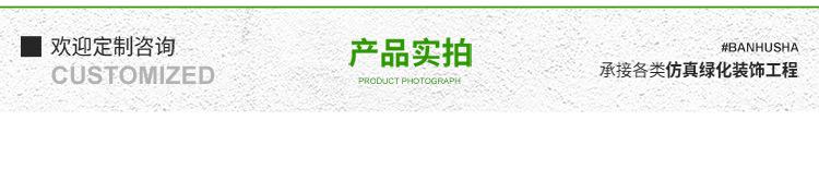 详情4.jpg