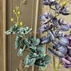 Alta calidad 8 Flor de Cerezo Labio Orquídea Mariposa Nueva Orquídea Phalaenopsis China Flor Orquídea Interior Estudio Fotográfico Accesorios para Sesión de Fotos