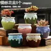 Vaso de Flor Suculenta Cerâmica Preço Especial Liquidação Esmaltado Tamanhos Grande e Pequeno Simples Pastoral Mesa Vasos de Barro Respirável Plantas Leede Estoque